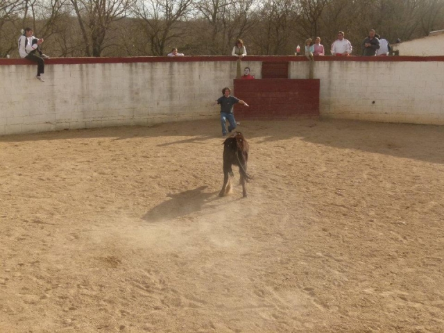 Frente al animal.jpg